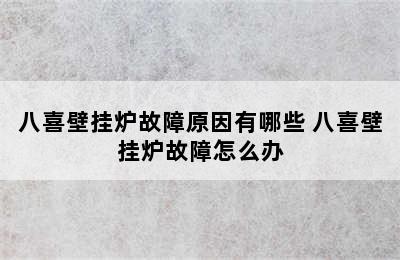 八喜壁挂炉故障原因有哪些 八喜壁挂炉故障怎么办